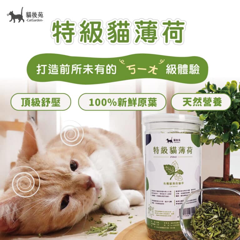 貓後苑CatGarden 特級貓薄荷草：圖片 2