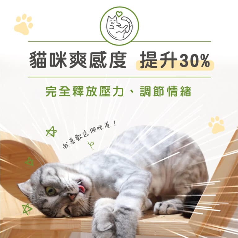 貓後苑CatGarden 特級貓薄荷草：圖片 3