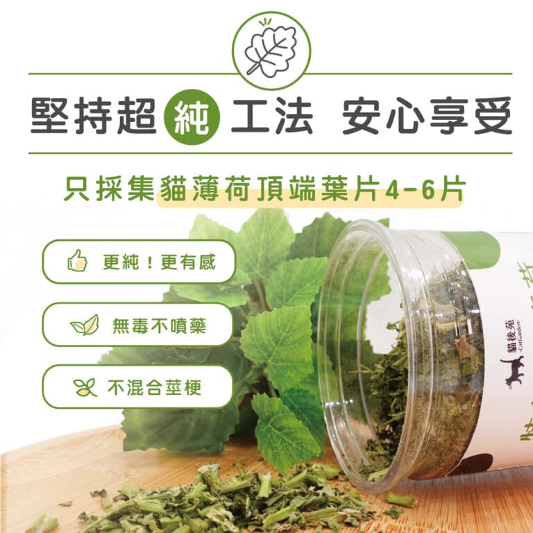 貓後苑CatGarden 特級貓薄荷草：圖片 4