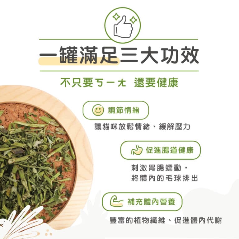貓後苑CatGarden 特級貓薄荷草：圖片 6