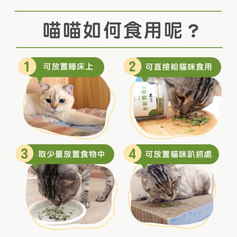 貓後苑CatGarden 特級貓薄荷草：圖片 8