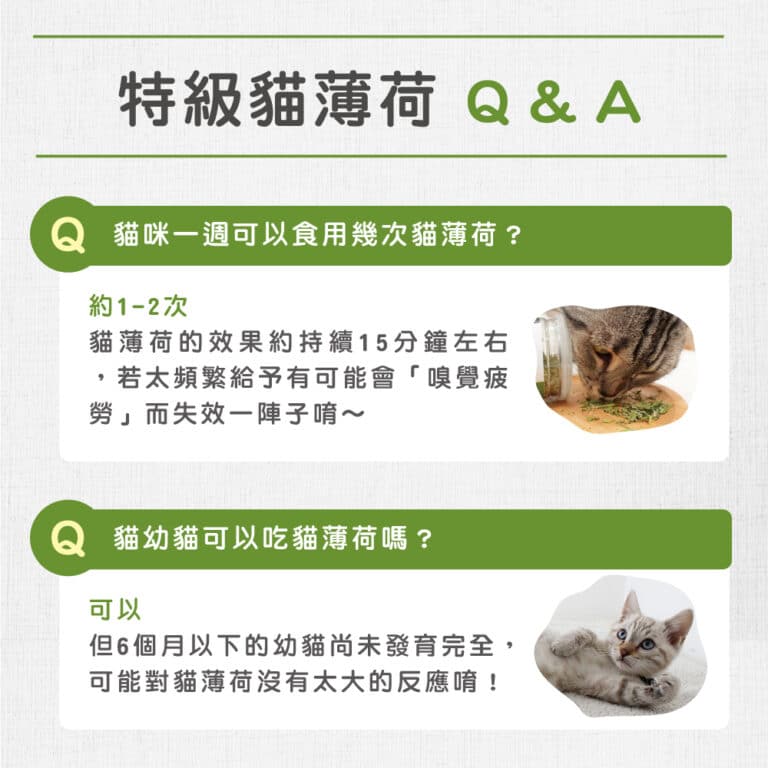 貓後苑CatGarden 特級貓薄荷草：圖片 9