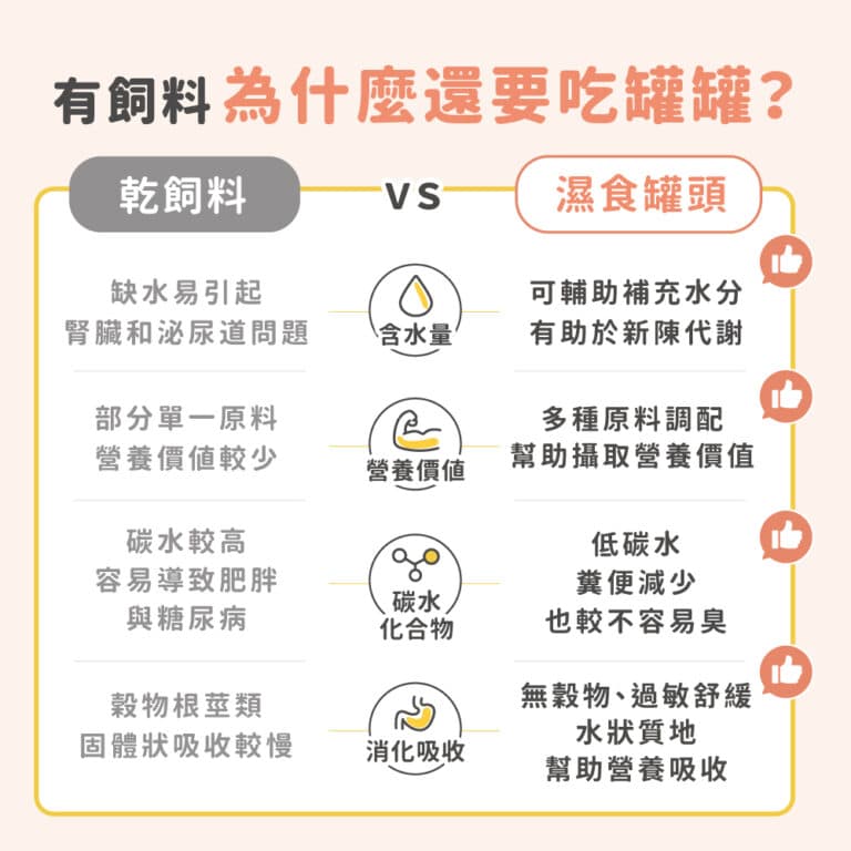 貓後苑CatGarden 奢華機能貓罐：圖片 10
