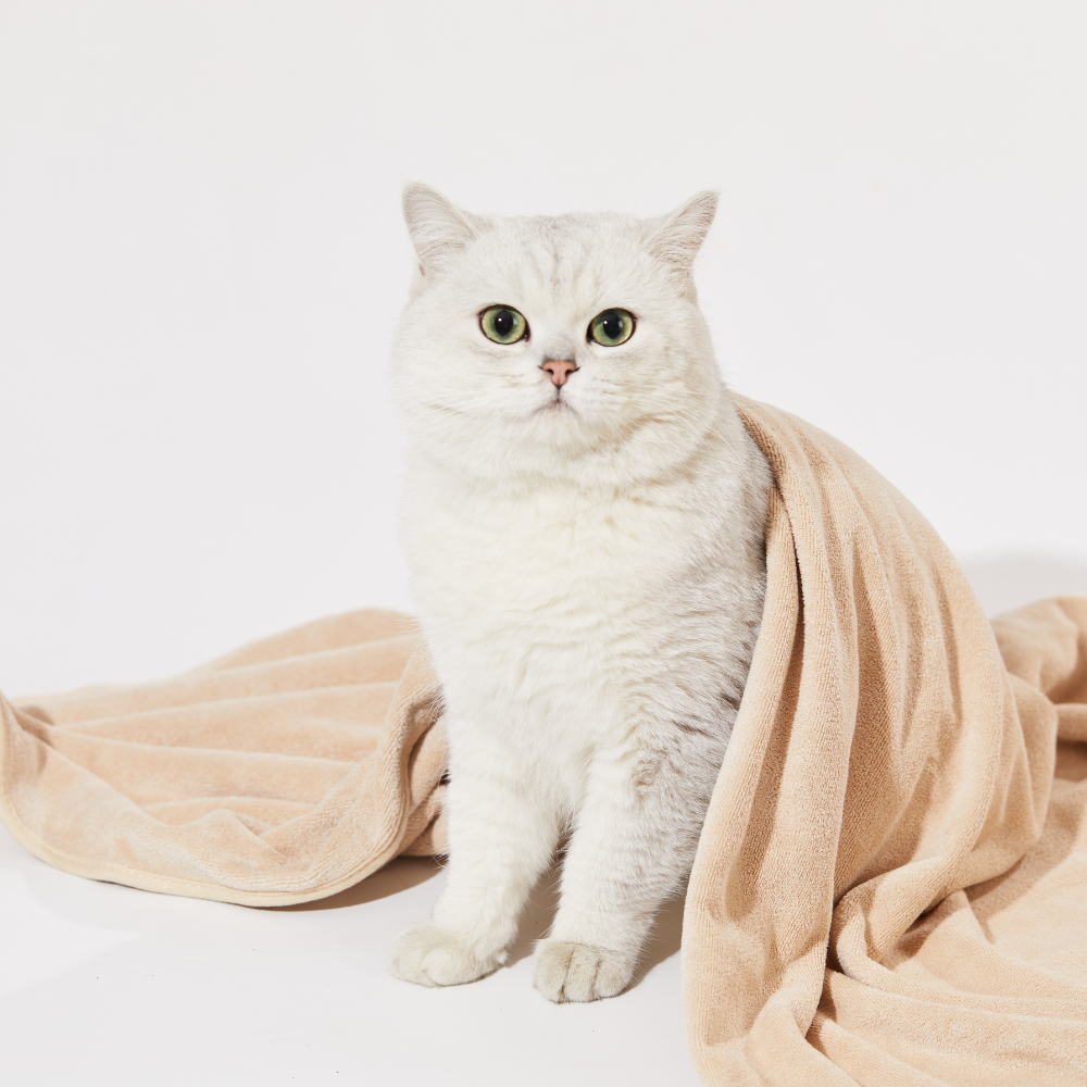 Ultra-Absorbent Quick-Dry Pet Towel Soft, High-Efficiency Care