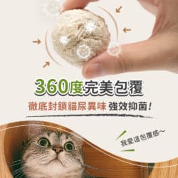 2022061119