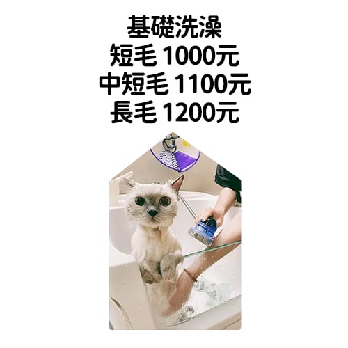 3. 基礎洗澡 $1000~$1200