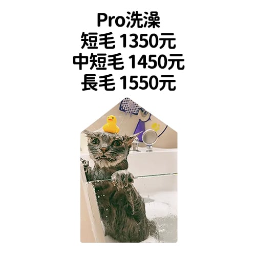 5. Pro洗澡 $1350~$1550