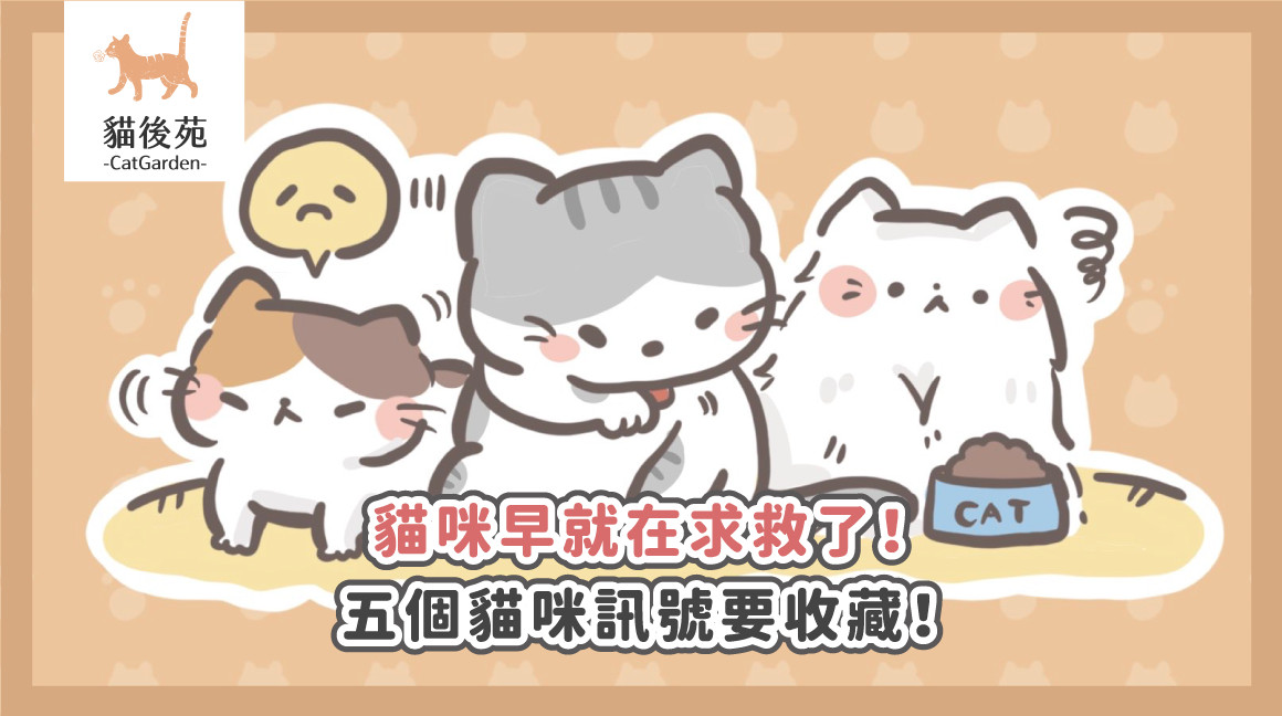 貓咪早就在求救了！五個貓咪訊號要收藏！