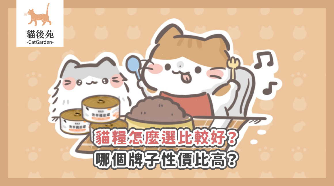 貓糧怎麼選比較好？哪個牌子性價比高？