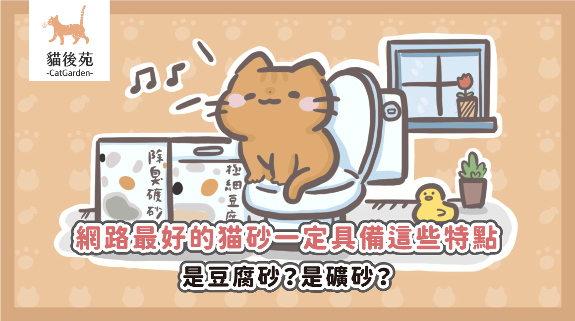 網路最好的猫砂一定具備這些特點，是豆腐砂？是礦砂？