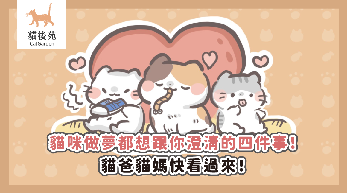 貓咪做夢都想跟你澄清的四件事！貓爸貓媽快看過來！