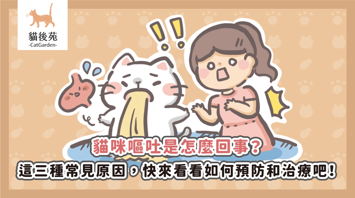 貓咪嘔吐是怎麼回事？這三種常見原因，快來看看如何預防和治療吧！