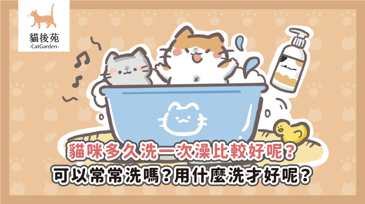 貓咪多久洗一次澡比較好呢？可以常常洗嗎？用什麼洗才好呢？