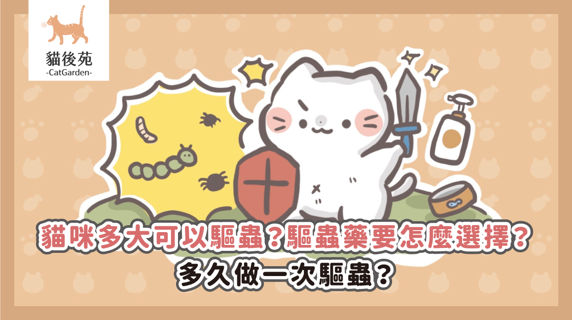 貓咪多大可以驅蟲？驅蟲藥要怎麼選擇？