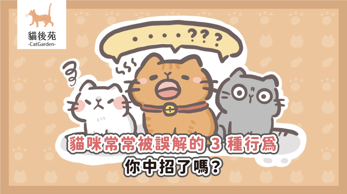 貓咪常常被誤解的 3 種行為，你中招了嗎？