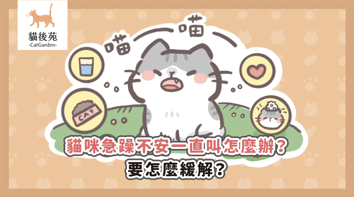 貓咪急躁不安一直叫怎麼辦？要怎麼緩解？