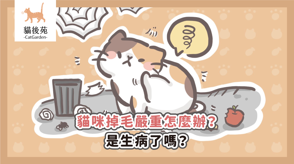 貓咪掉毛嚴重怎麼辦？是生病了嗎？