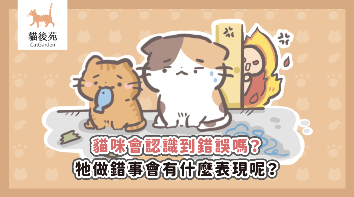 貓咪會認識到錯誤嗎？牠做錯事會有什麼表現呢？