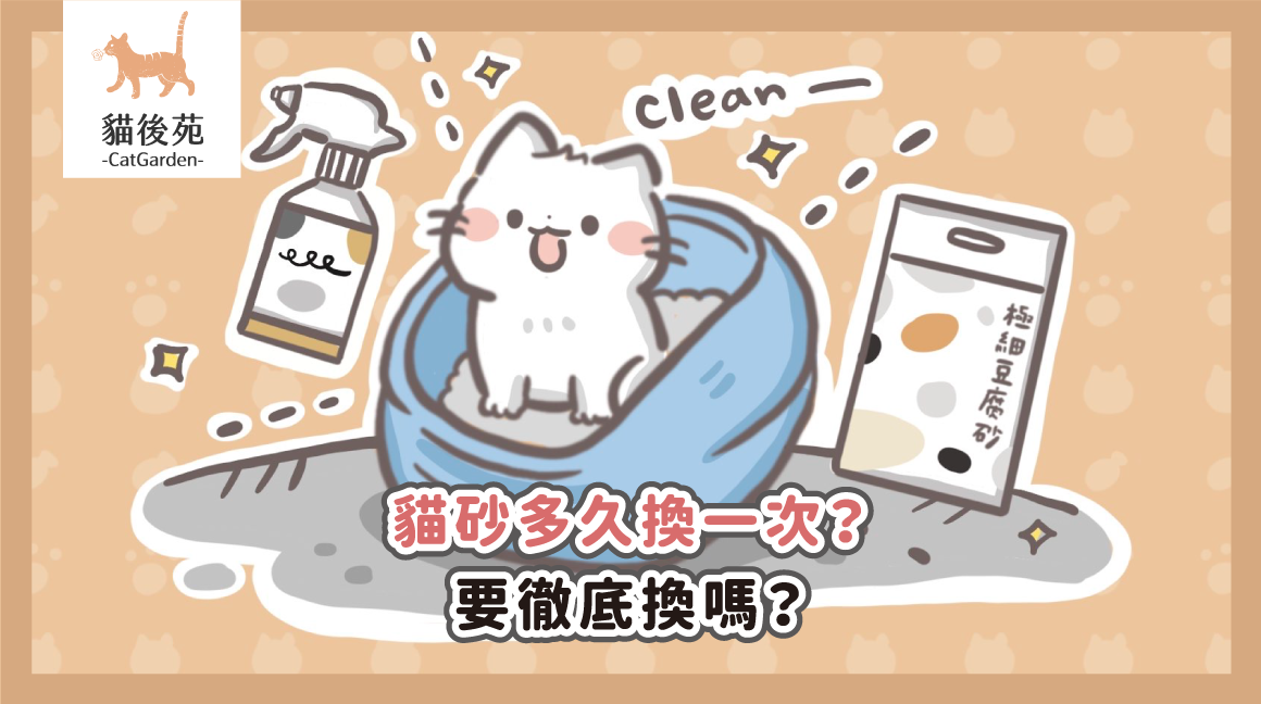 貓砂多久換一次？要徹底換嗎？