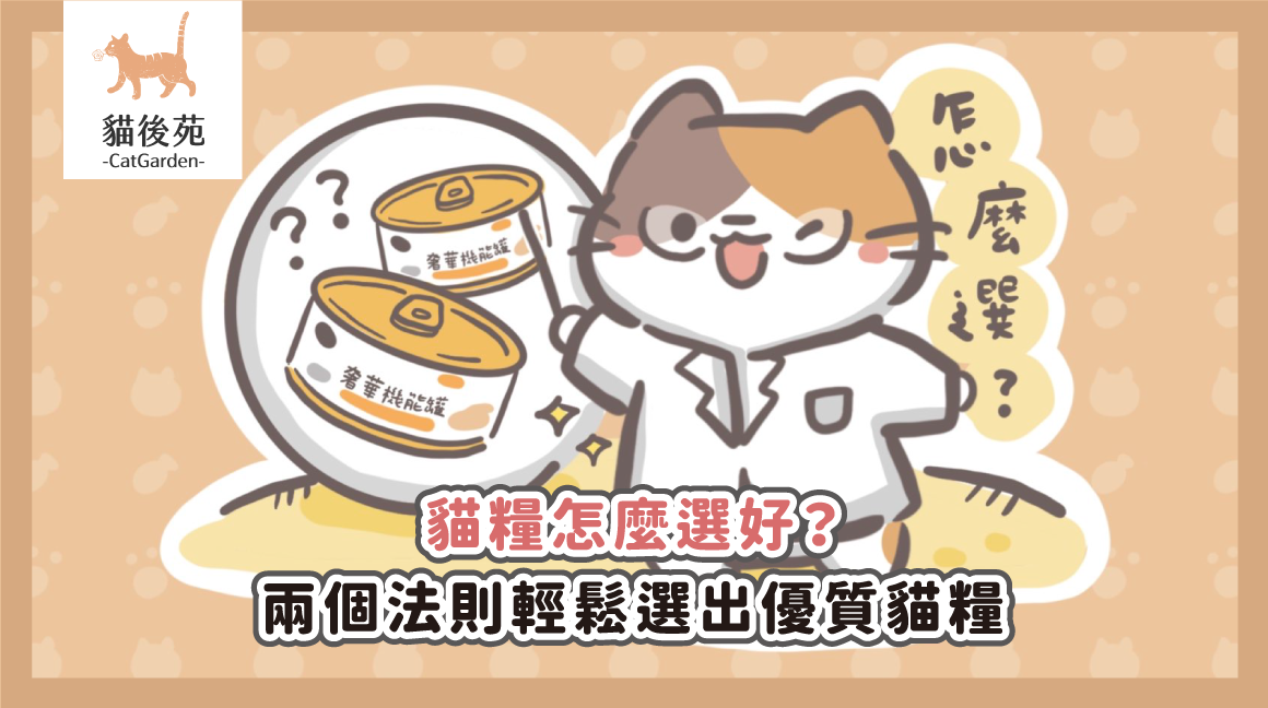 貓糧怎麼選好？兩個法則輕鬆選出優質貓糧