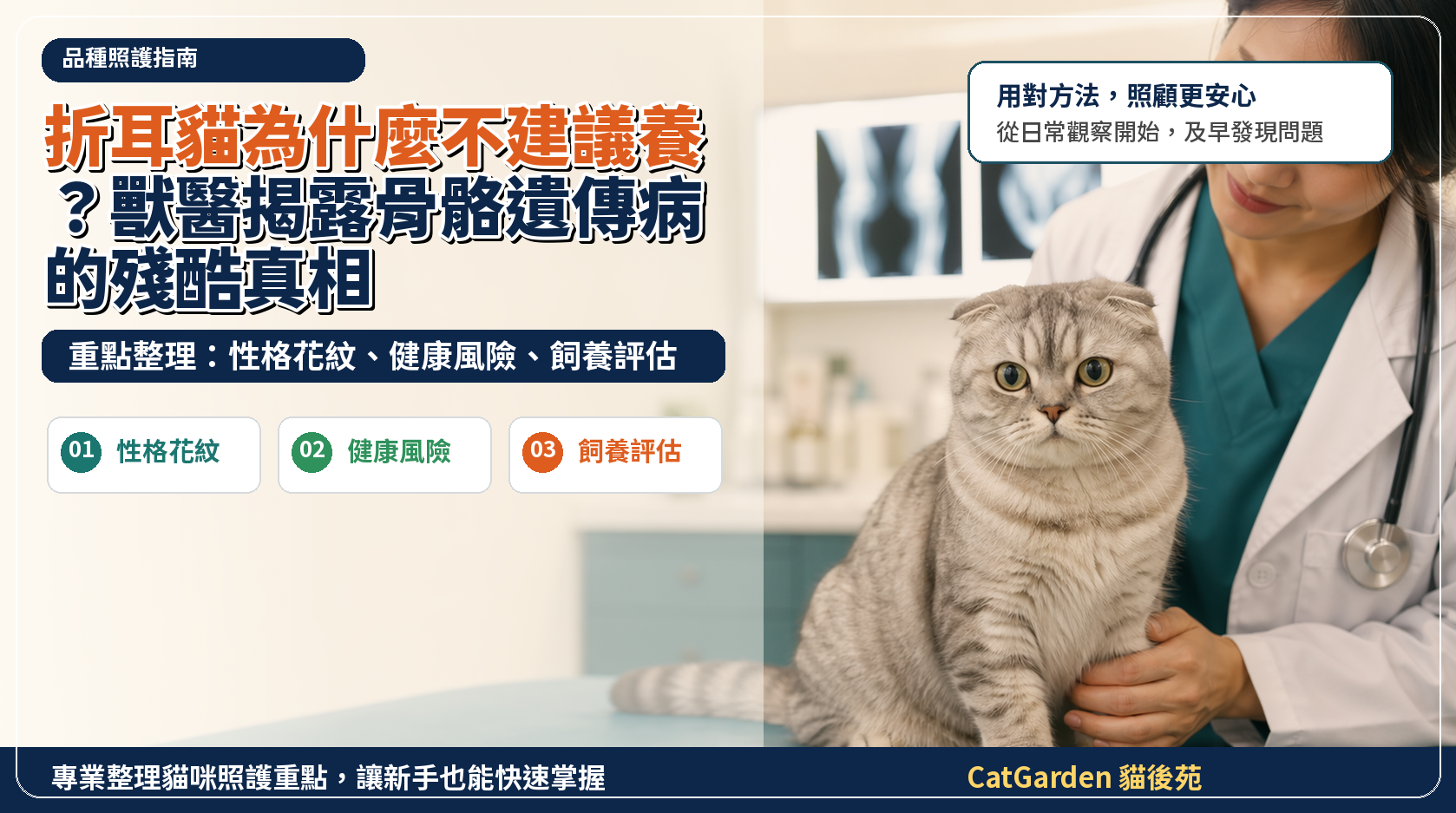 折耳貓為什麼不建議養？獸醫揭露骨骼遺傳病的殘酷真相 封面圖