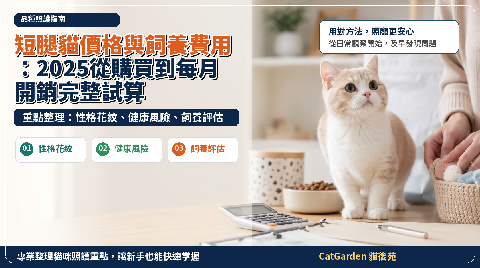 短腿貓價格與飼養費用：2025 從購買到每月開銷完整試算 封面圖