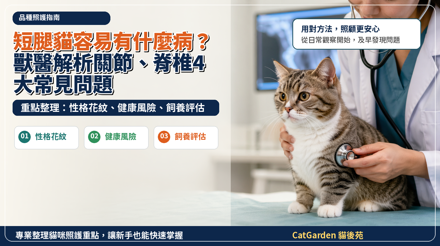 短腿貓容易有什麼病？獸醫解析關節、脊椎 4 大常見問題 封面圖