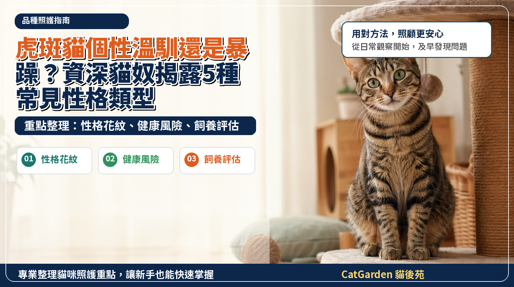 虎斑貓個性溫馴還是暴躁？資深貓奴揭露 5 種常見性格類型 封面圖
