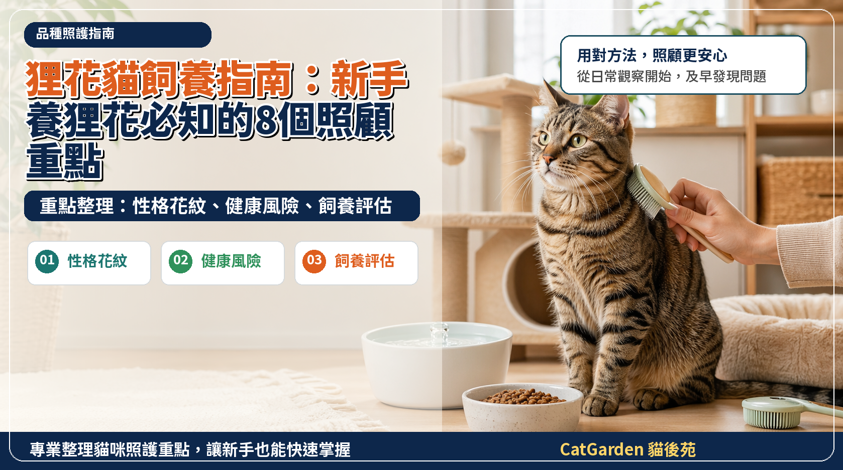 狸花貓飼養指南：新手養狸花必知的 8 個照顧重點 封面圖