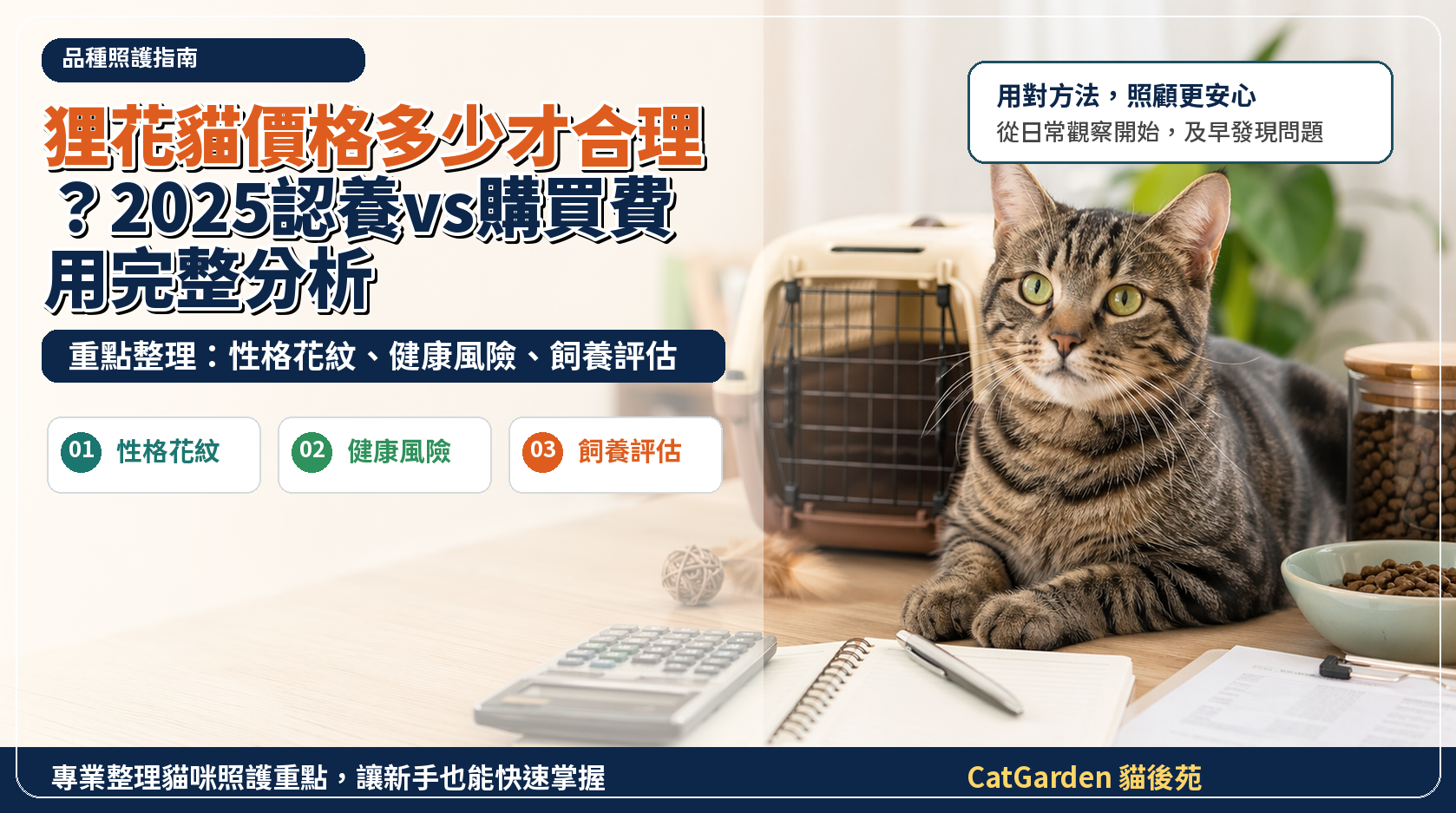 狸花貓價格多少才合理？2025認養vs購買費用完整分析 封面圖