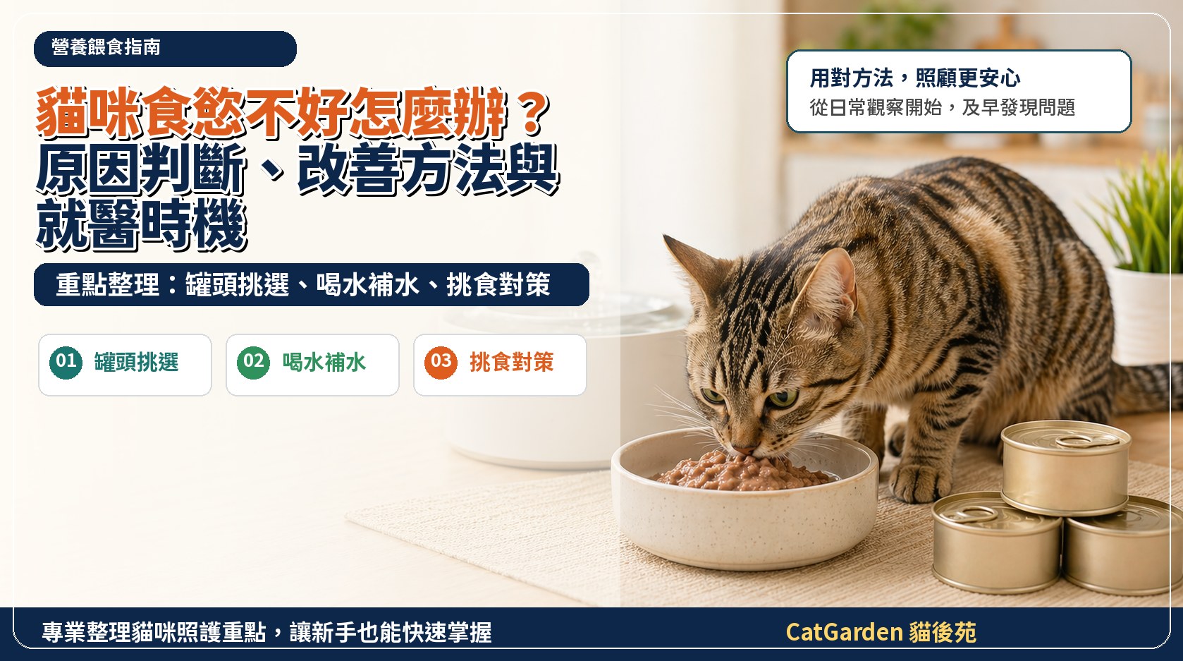 貓咪食慾不好怎麼辦？原因判斷、改善方法與就醫時機 封面圖