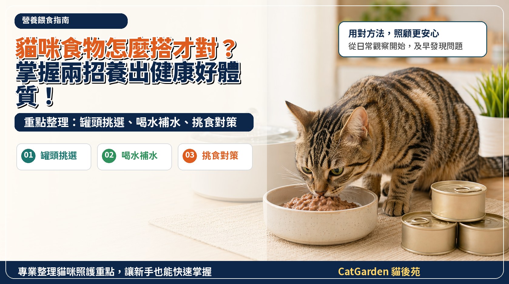 貓咪食物怎麼搭才對？掌握兩招養出健康好體質！ 封面圖