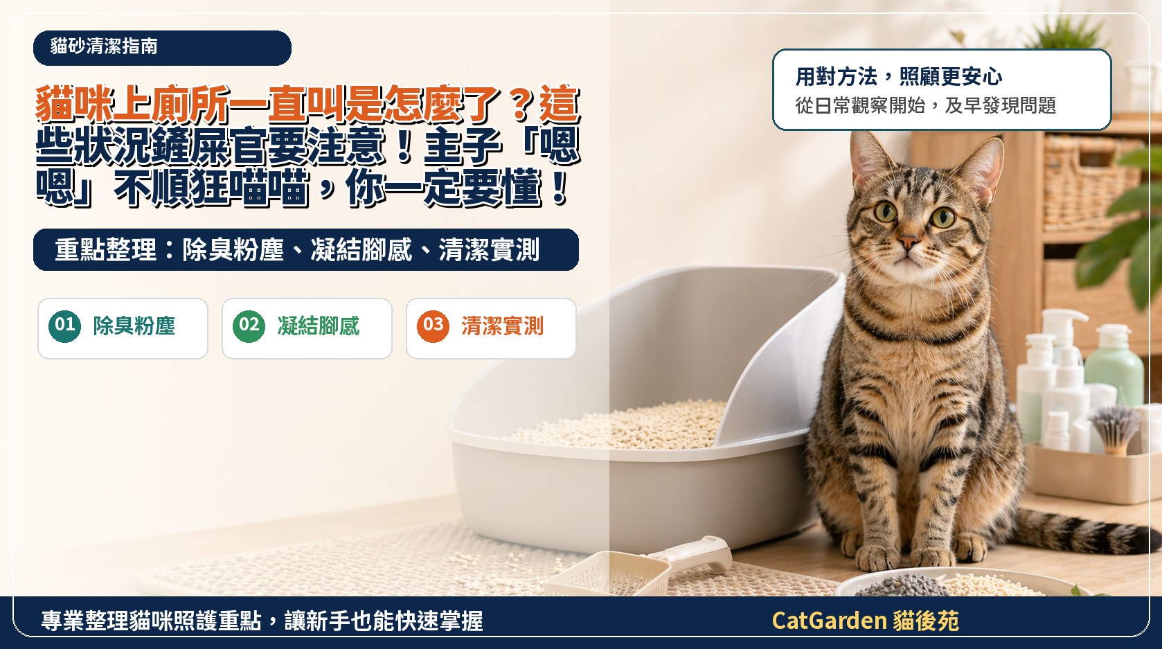 貓咪上廁所一直叫是怎麼了？這些狀況鏟屎官要注意！主子「嗯嗯」不順狂喵喵，你一定要懂！ 封面圖