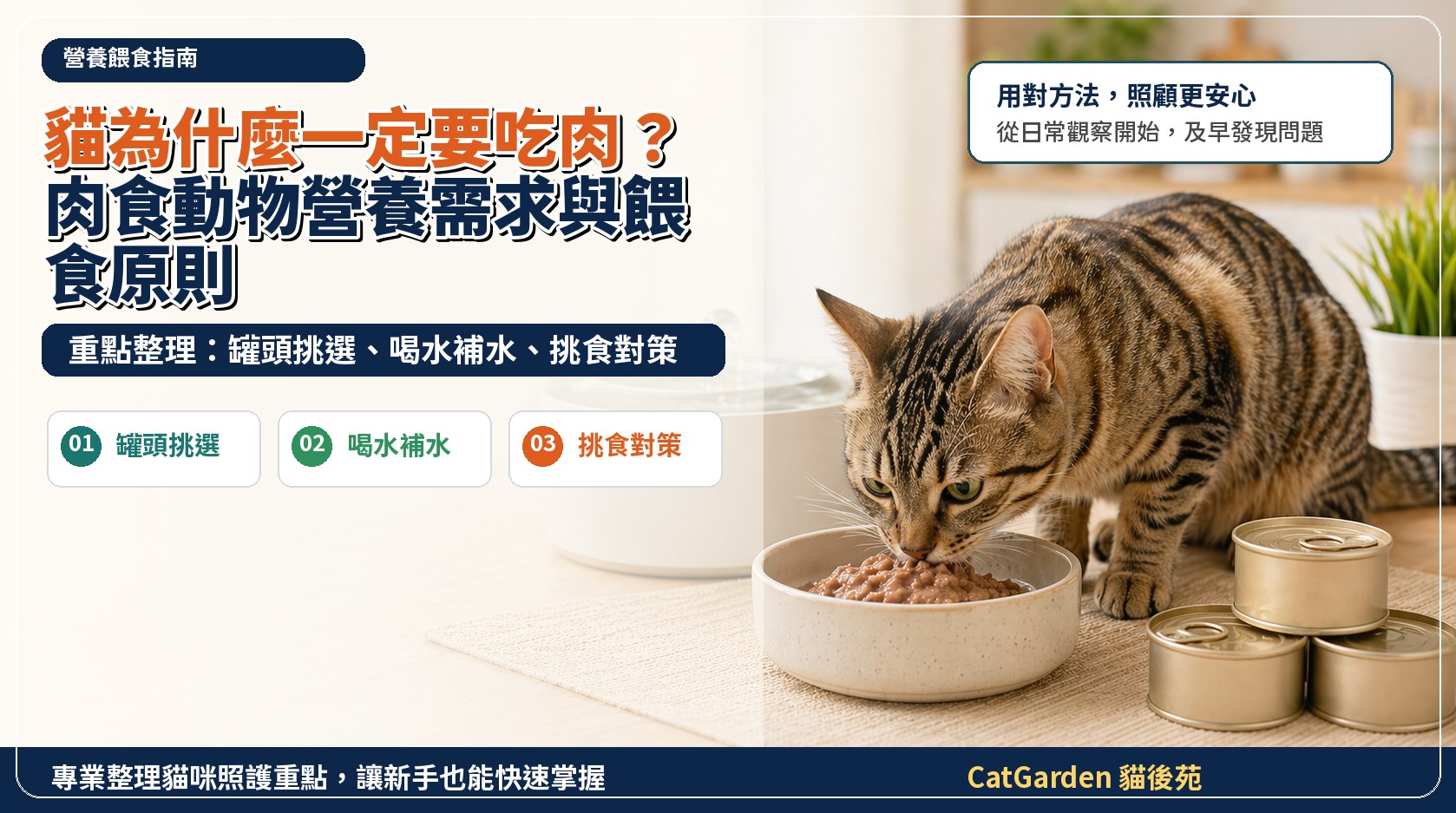 貓為什麼一定要吃肉？肉食動物營養需求與餵食原則 封面圖