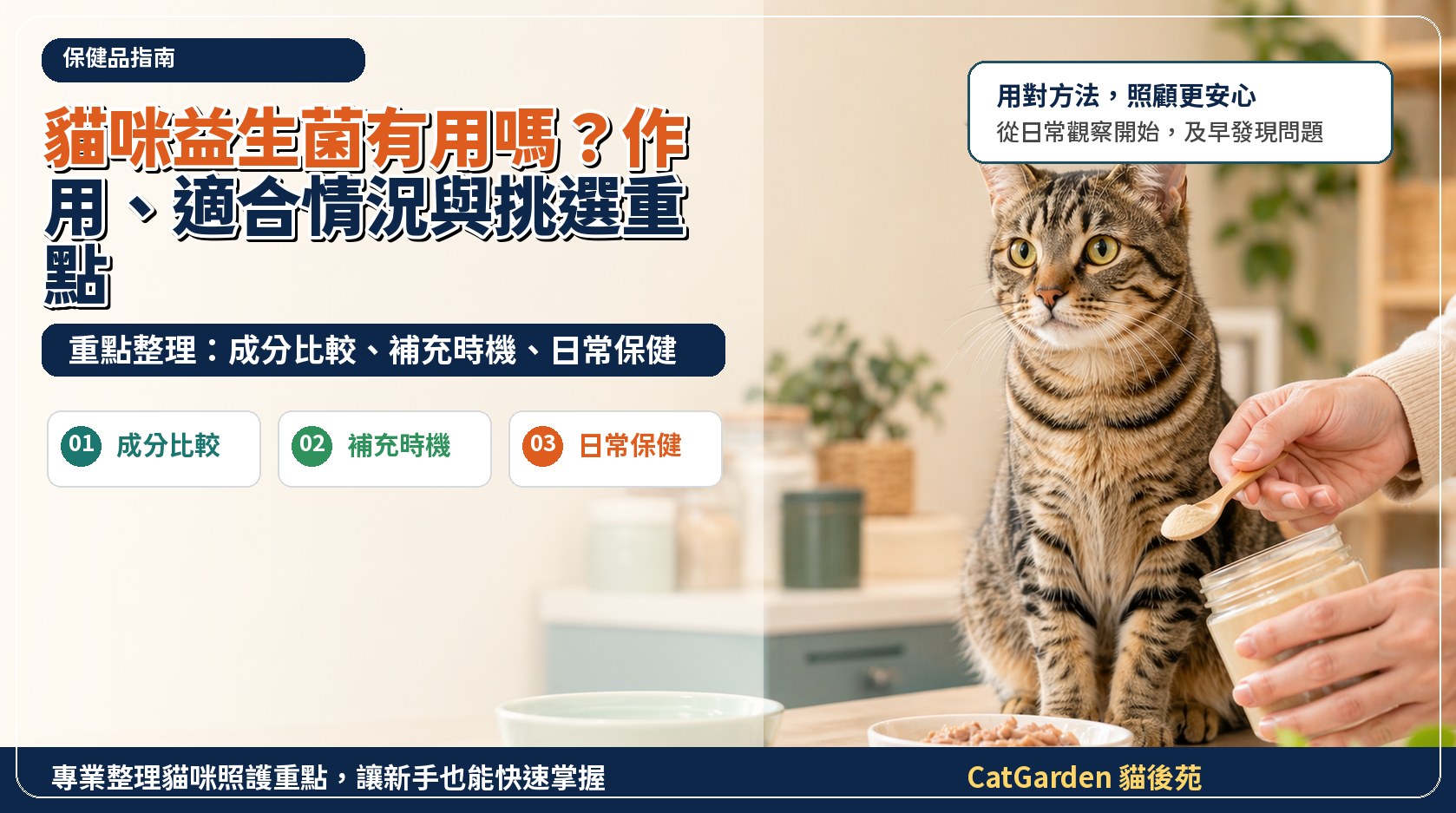 貓咪益生菌有用嗎？作用、適合情況與挑選重點 封面圖
