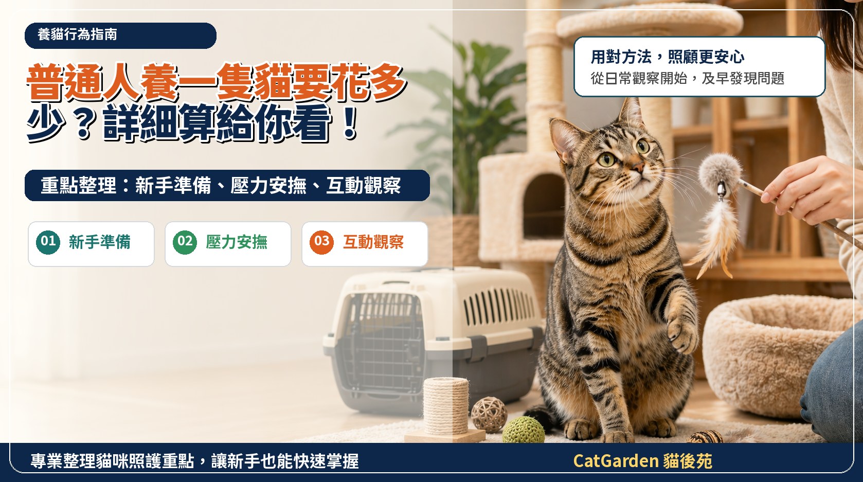 普通人養一隻貓要花多少？詳細算給你看！ 封面圖