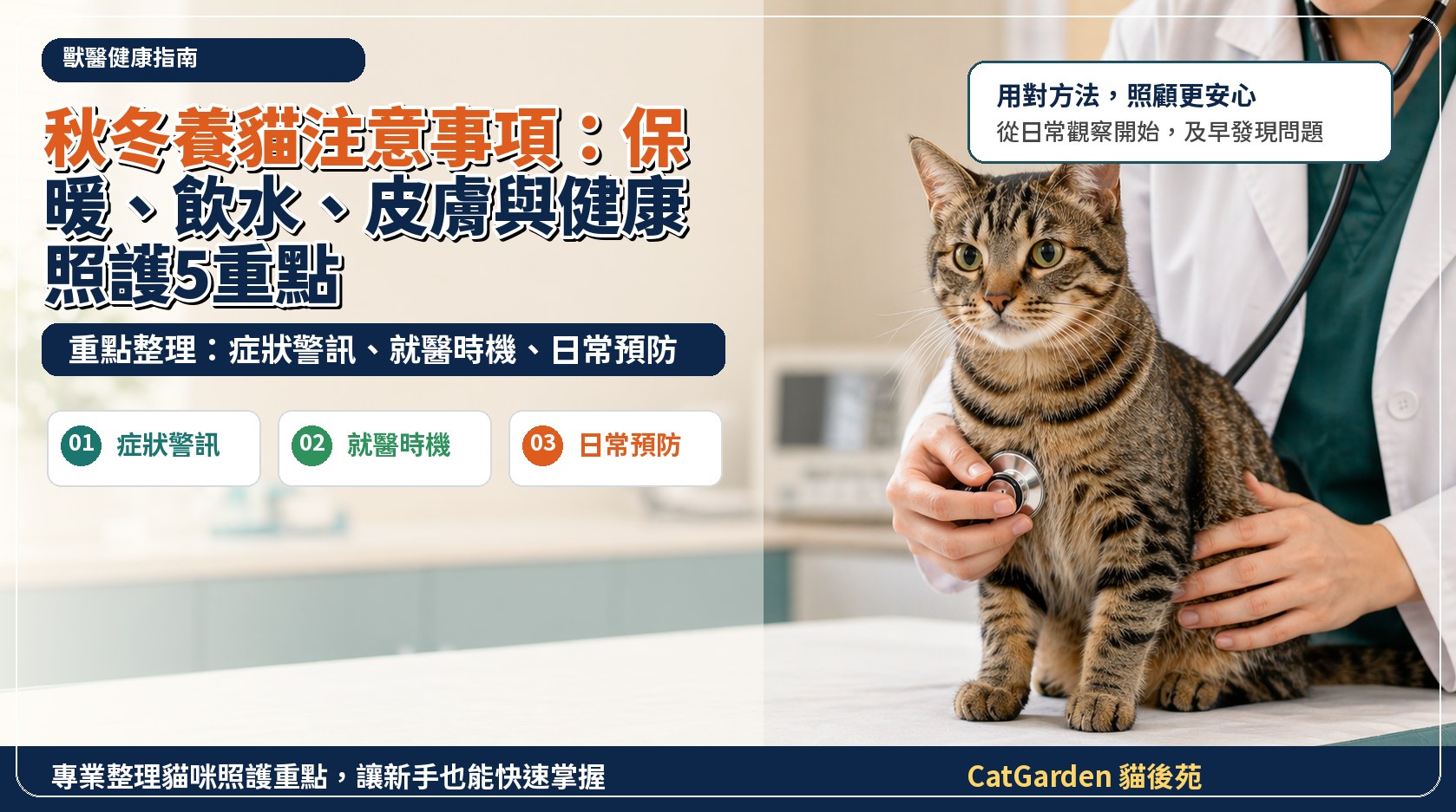 秋冬養貓注意事項：保暖、飲水、皮膚與健康照護 5 重點 封面圖