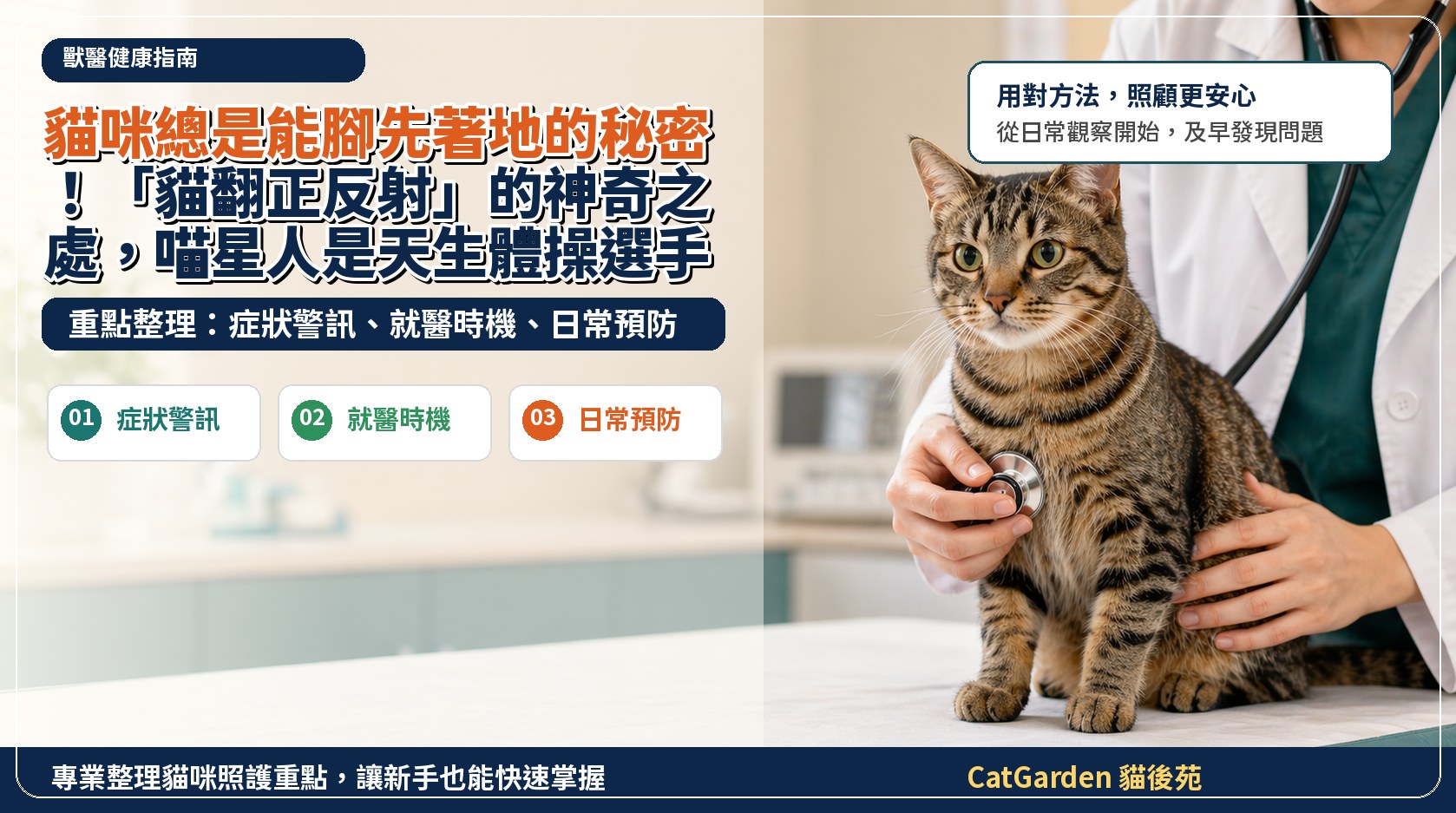 貓咪總是能腳先著地的秘密！「貓翻正反射」的神奇之處，喵星人是天生體操選手？ 封面圖