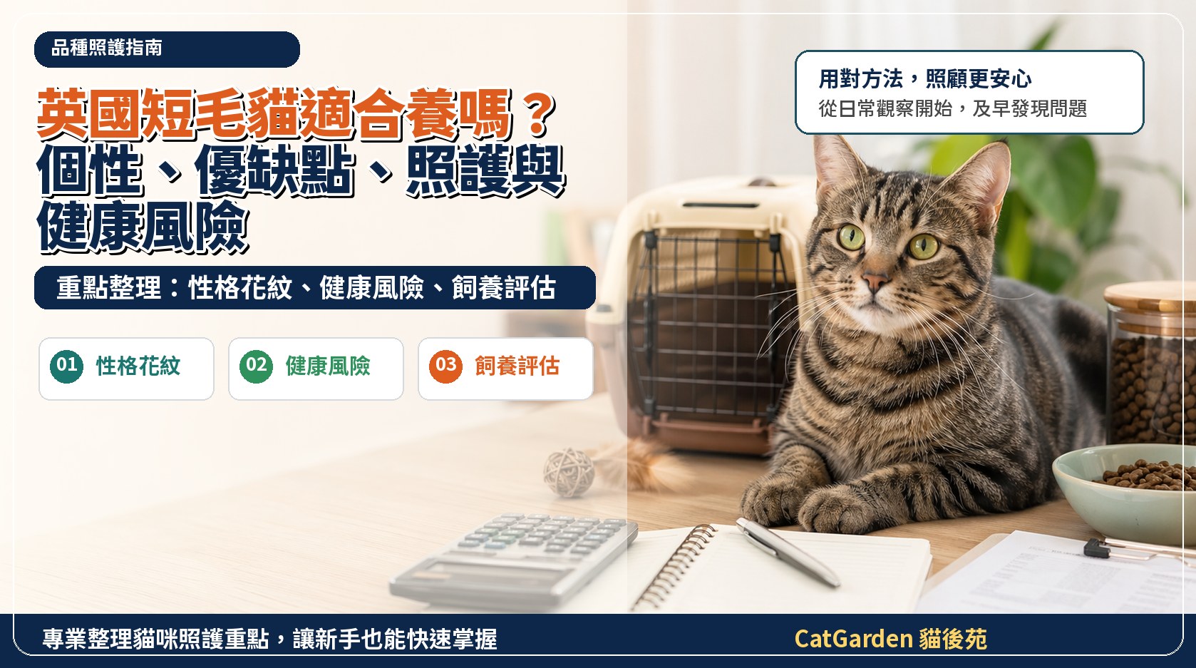 英國短毛貓適合養嗎？個性、優缺點、照護與健康風險 封面圖