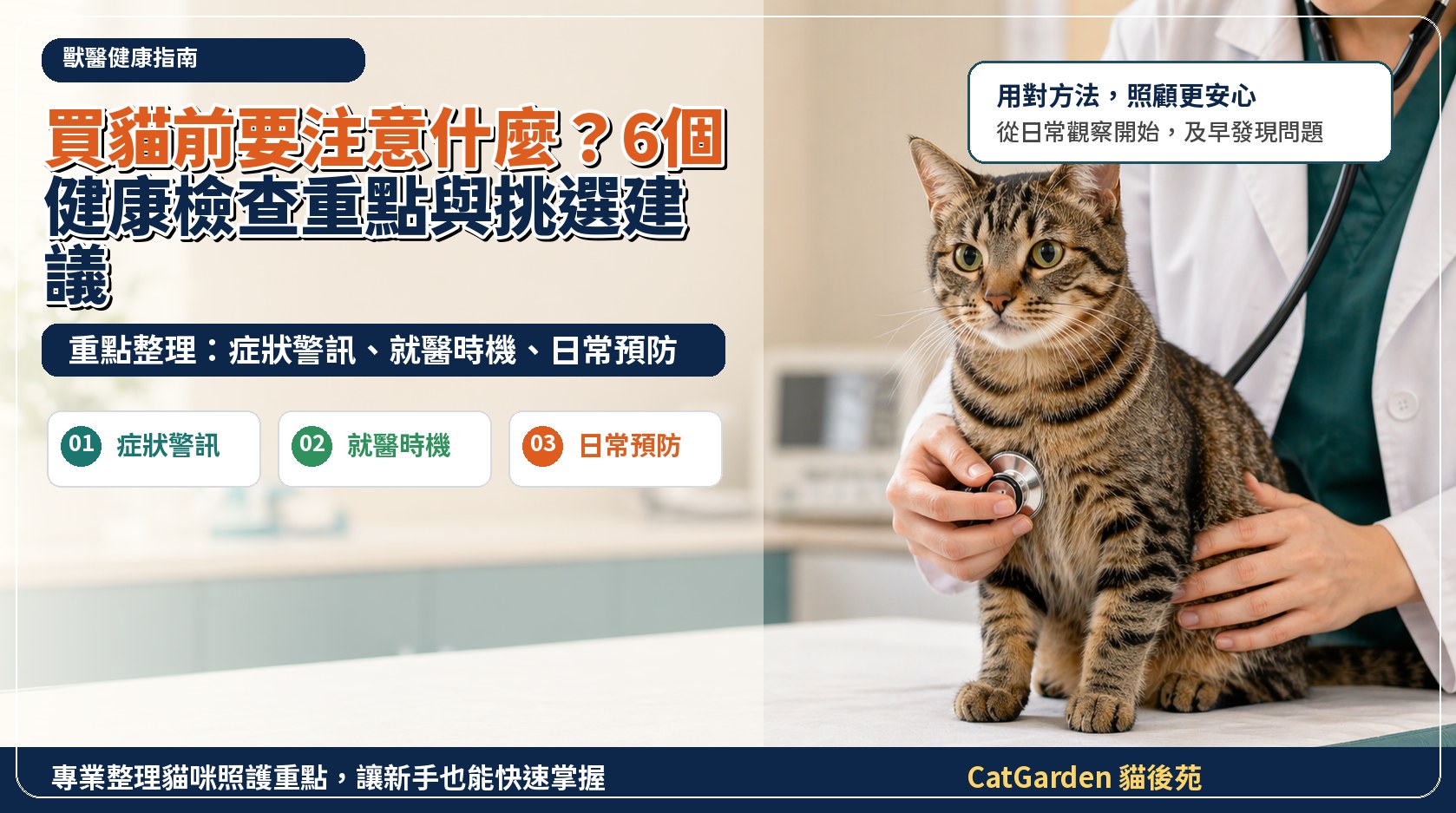 買貓前要注意什麼？6 個健康檢查重點與挑選建議 封面圖