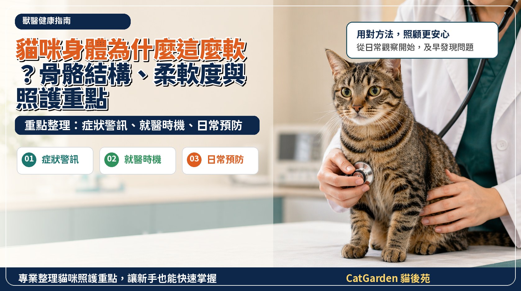 貓咪身體為什麼這麼軟？骨骼結構、柔軟度與照護重點 封面圖