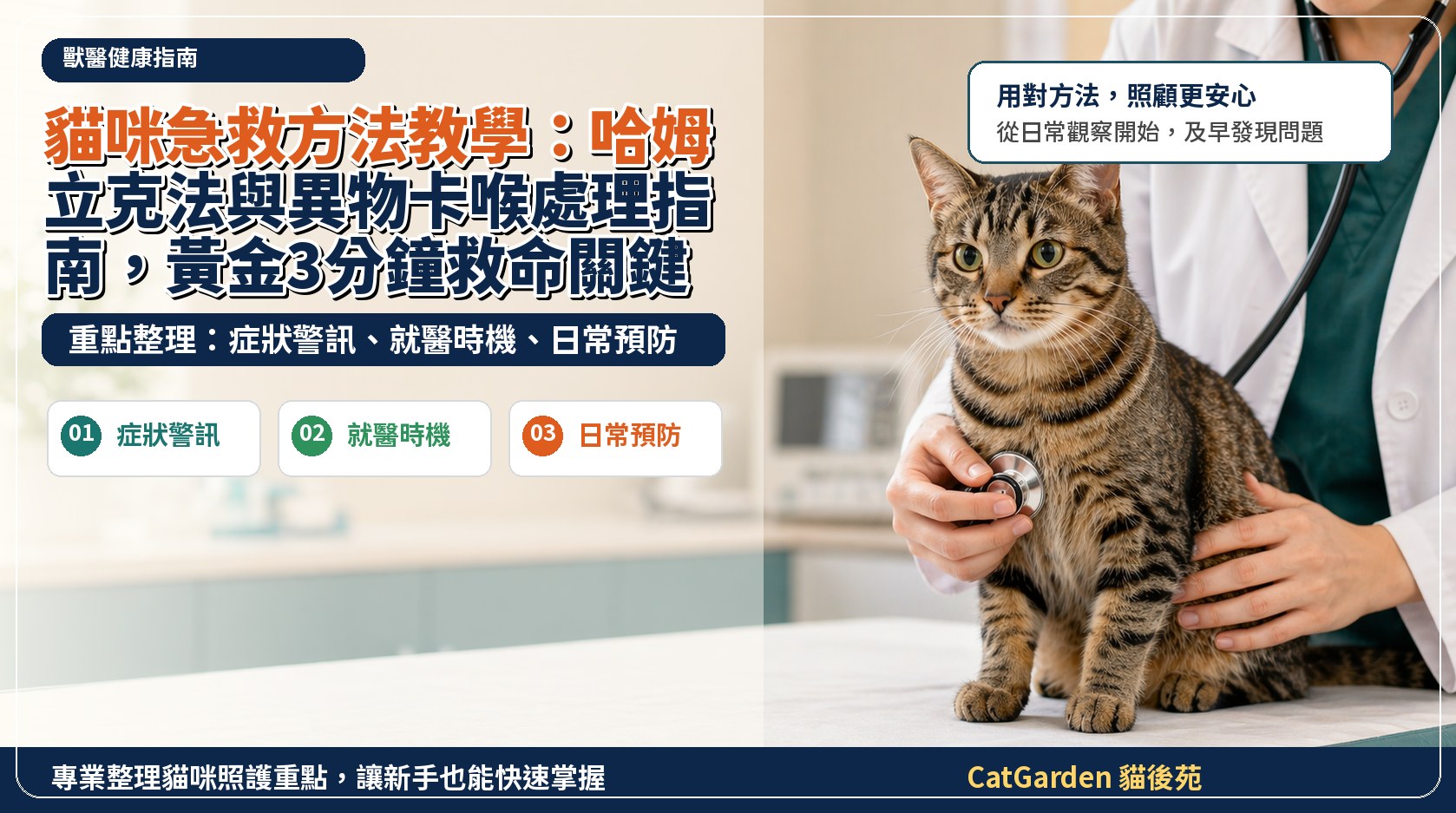 貓咪急救方法教學：哈姆立克法與異物卡喉處理指南，黃金3分鐘救命關鍵！ 封面圖