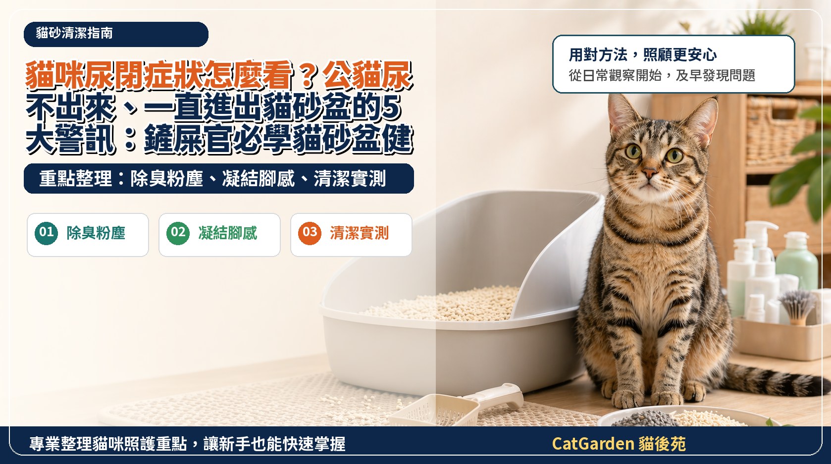 貓咪尿閉症狀怎麼看？公貓尿不出來、一直進出貓砂盆的5大警訊：鏟屎官必學貓砂盆健檢 封面圖