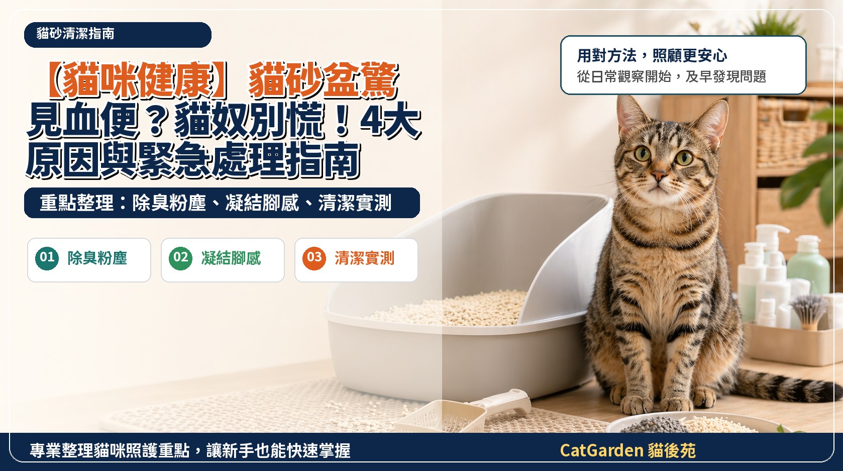 【貓咪健康】貓砂盆驚見血便？貓奴別慌！4大原因與緊急處理指南 封面圖