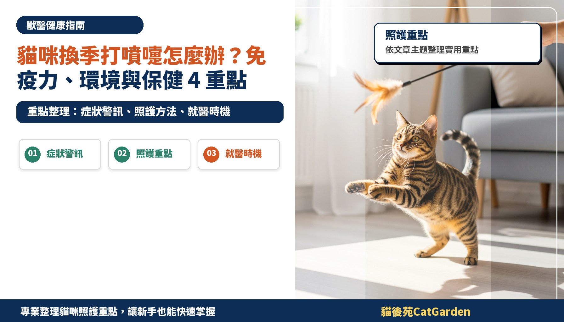 貓咪換季打噴嚏怎麼辦？免疫力、環境與保健 4 重點