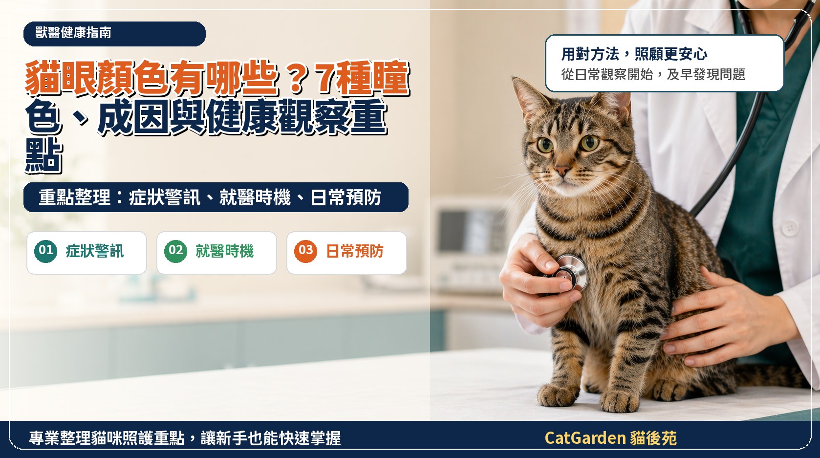 貓眼顏色有哪些？7 種瞳色、成因與健康觀察重點 封面圖