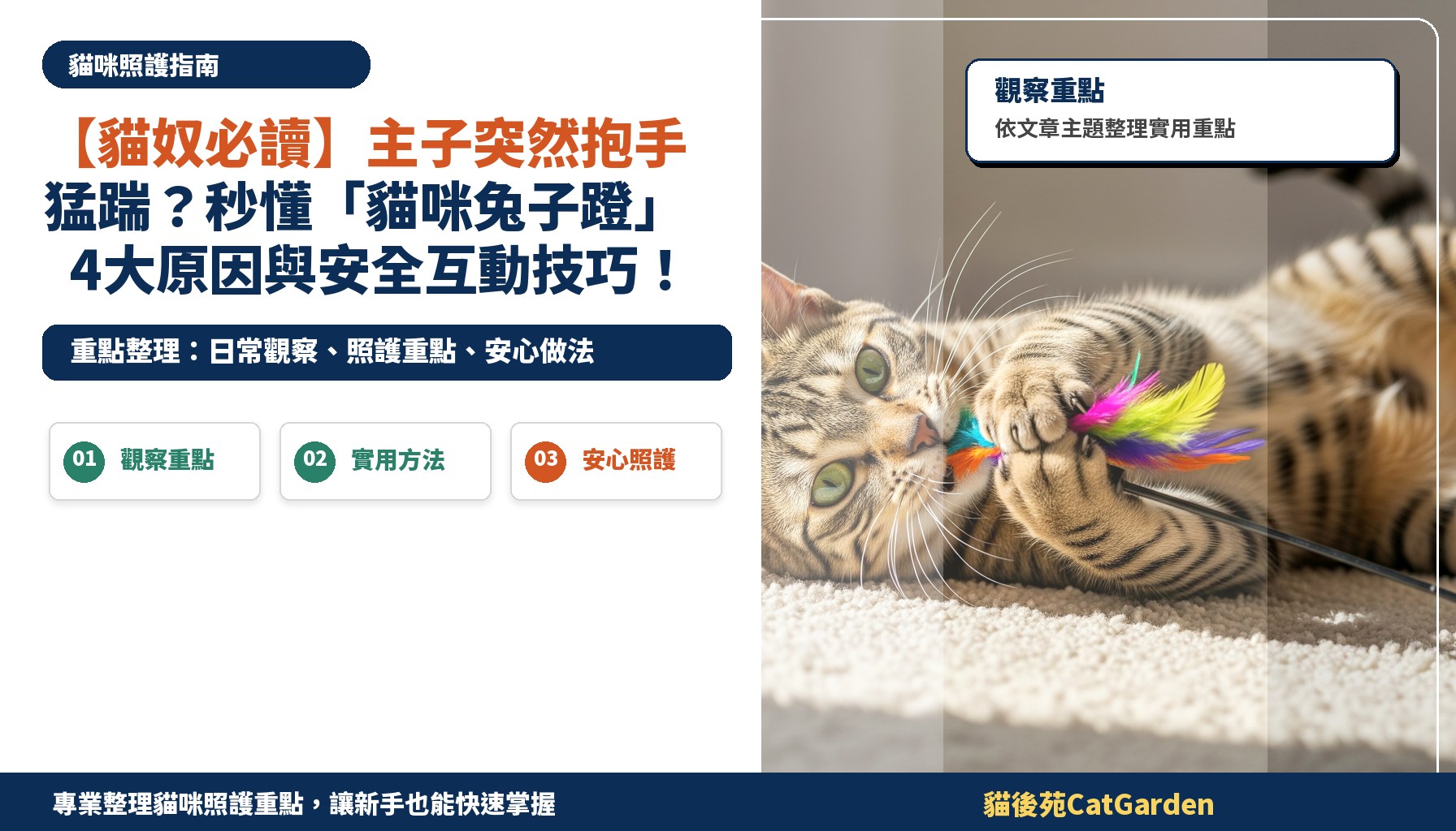 【貓奴必讀】主子突然抱手猛踹？秒懂「貓咪兔子蹬」4大原因與安全互動技巧！