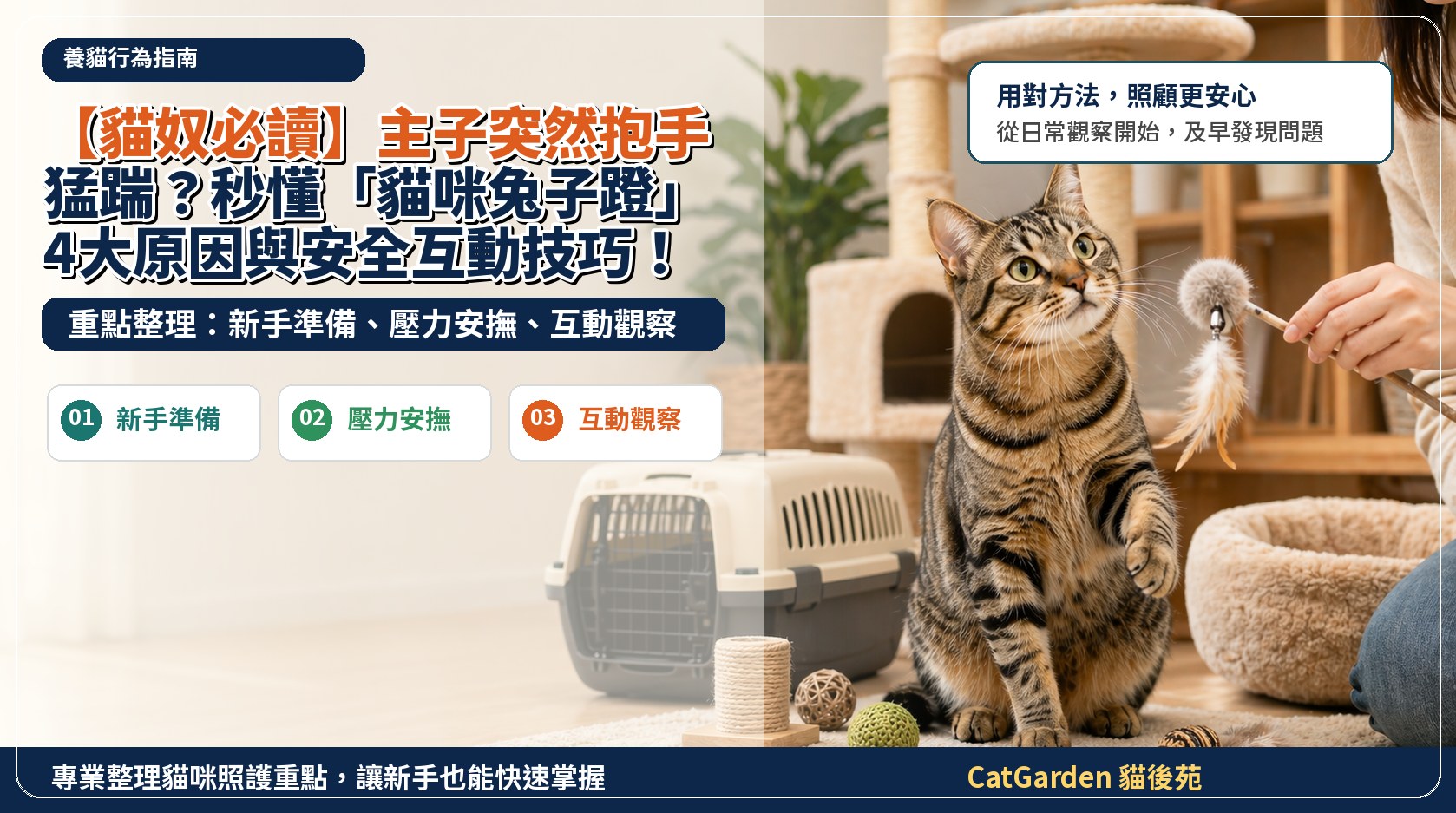 【貓奴必讀】主子突然抱手猛踹？秒懂「貓咪兔子蹬」4大原因與安全互動技巧！ 封面圖