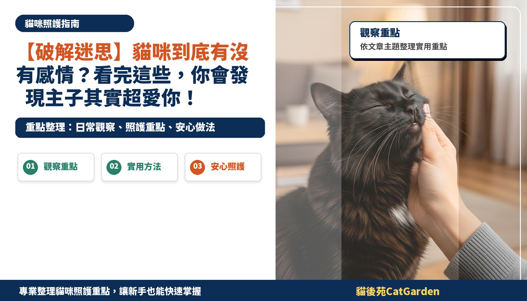 【破解迷思】貓咪到底有沒有感情？看完這些，你會發現主子其實超愛你！