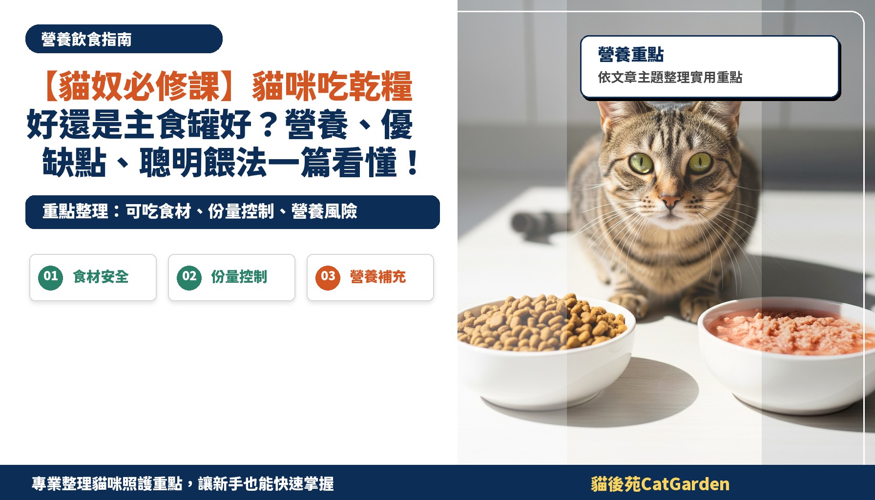 【貓奴必修課】貓咪吃乾糧好還是主食罐好？營養、優缺點、聰明餵法一篇看懂！